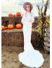 Long Sleeves Ivory Lace V Back Gorgeous Wedding Dress